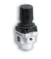 PRESSURE REGULATOR 1/4" - 2"