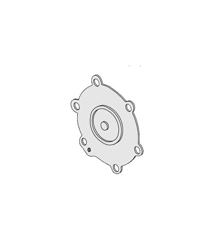 SOSTITUZIONE MEMBRANA VALVOLA DI COLPO IN VITON