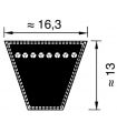 CINGHIA TRAPEZOIDALE SPB