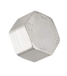 FIG. 300 STAINLESS STEEL FEMALE CAP 316