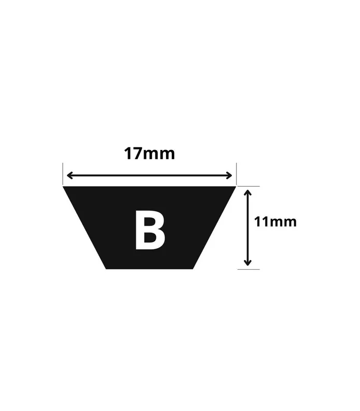 CINGHIA TRAPEZOIDALE B