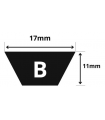 CINGHIA TRAPEZOIDALE B