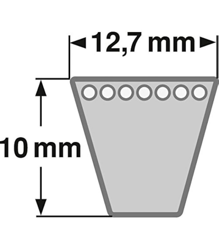 CORREA TRAPEZOIDAL SPA