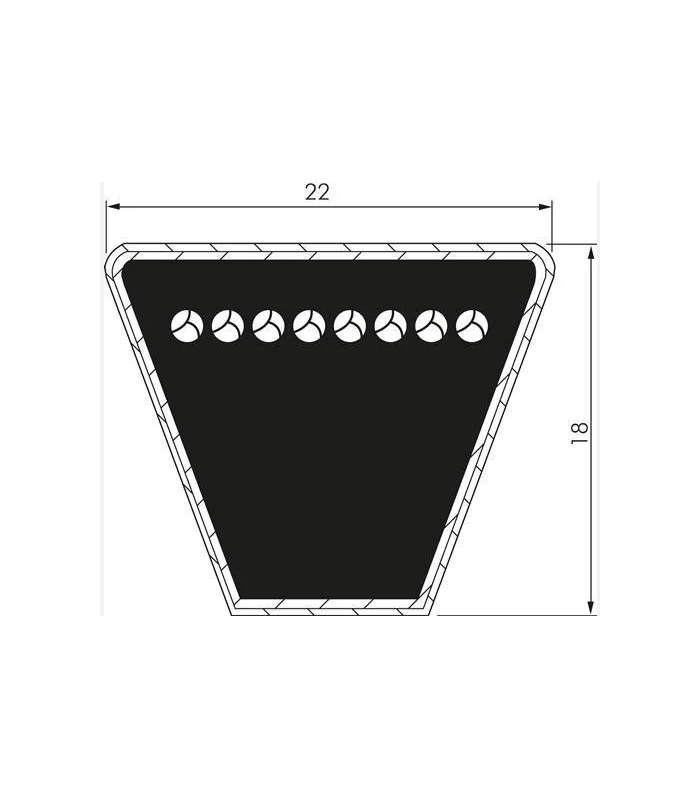 CINGHIA TRAPEZOIDALE SPC