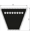 CORREA TRAPEZOIDAL SPC